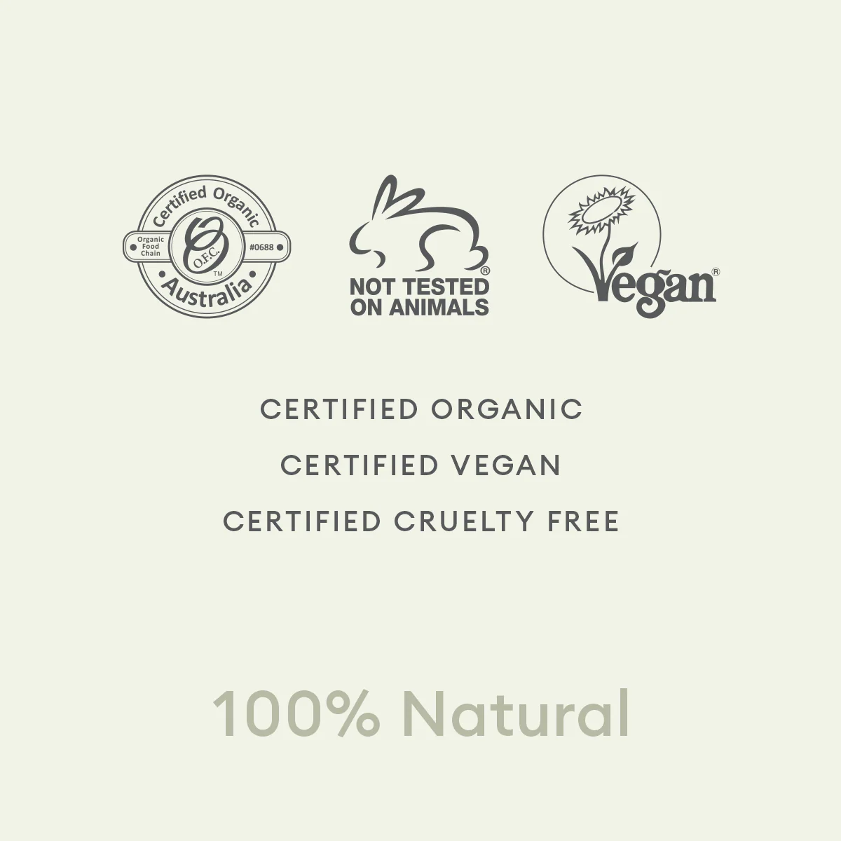 Phytofuse Renew Maca Root RICH Dagcrème - Image 5